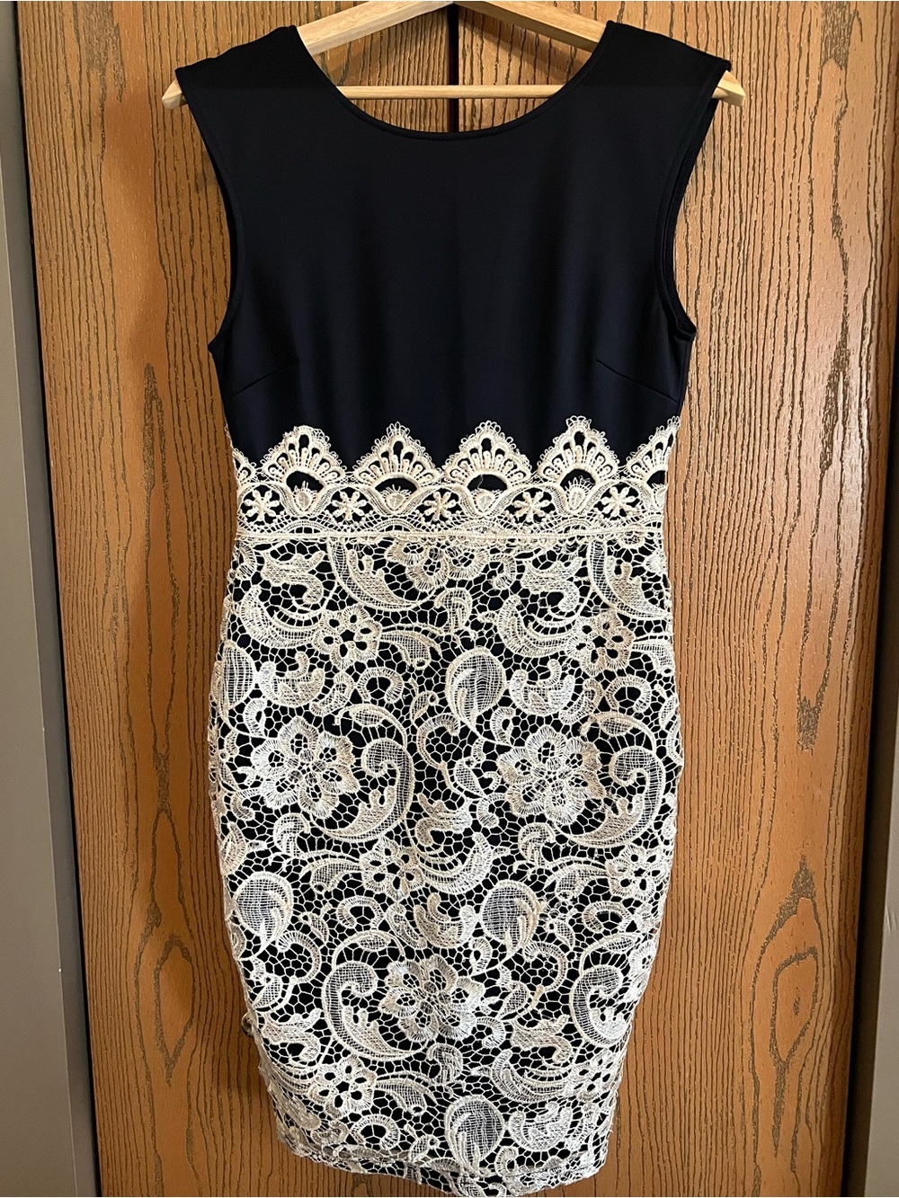 AX Paris Classic Navy & White Lace Sheath Dress